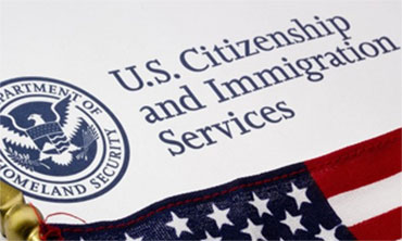 business immigration law services